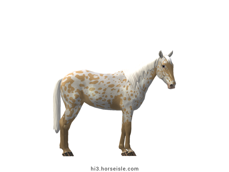 Israeli Local Horse Cream Pearl Leopard Coat